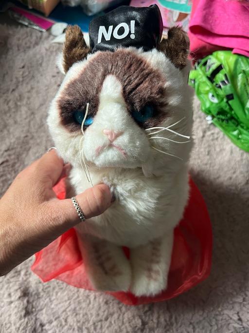 Buy & Sell Wednesfield Wolverhampton - Photos for New grumpy cat toy