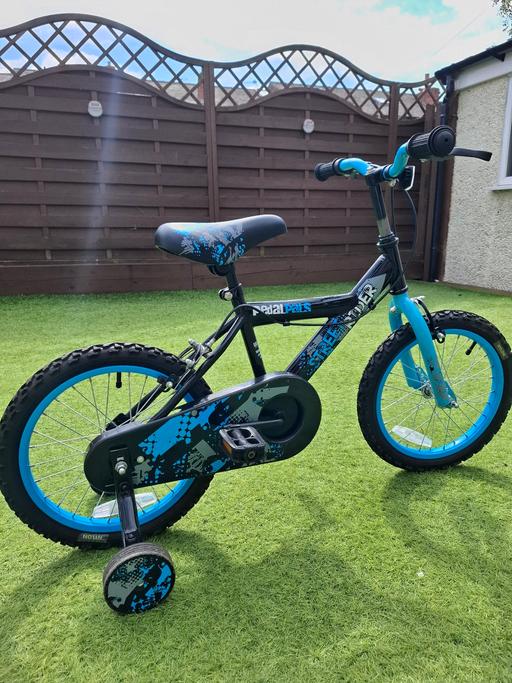 Buy & Sell Pemberton Wigan - Photos for 16i-inch Pedal Pals bike