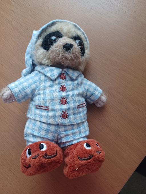 Buy & Sell Eckington North East Derbyshire - Photos for baby meerkat
