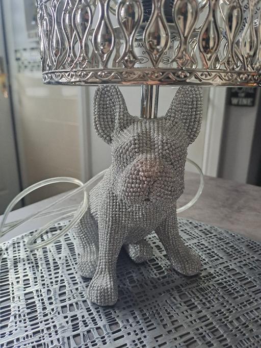 Buy & Sell Park Hill Sheffield - Photos for bling dog lamp