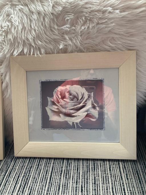 Buy & Sell Sedgley Dudley - Photos for Two flower pictures