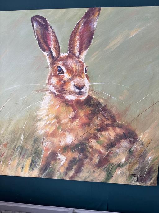 Buy & Sell Prestatyn Denbighshire - Wales - Photos for HARE ON CANVAS PRINT