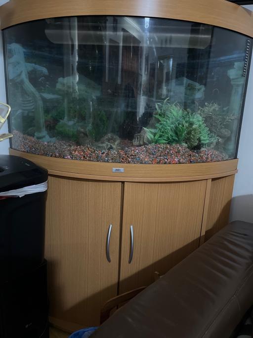 Buy & Sell Finsbury Park North London - Photos for Aquarium