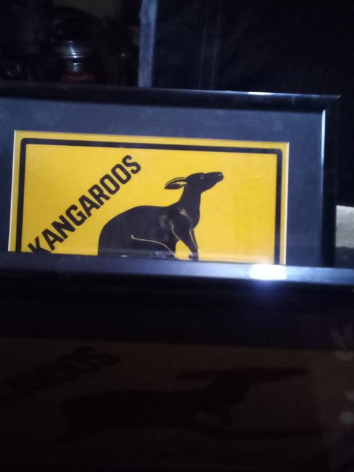 Buy & Sell Brondesbury North West London - Photos for Kangaroo xing