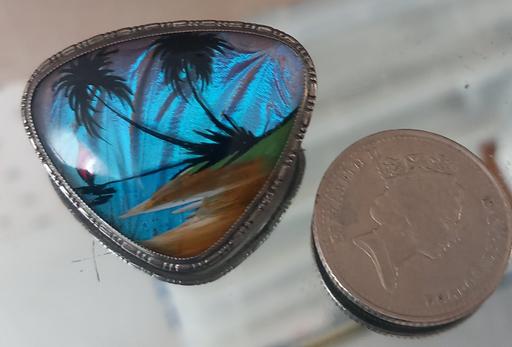 Buy & Sell Thatto Heath Saint Helens - Photos for antique thomas mott butterfly scene brooch a