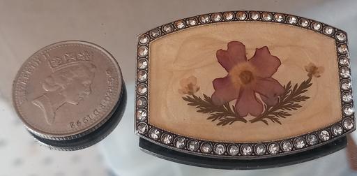 Buy & Sell Thatto Heath Saint Helens - Photos for Vintage art deco pressed flowers gem brooch