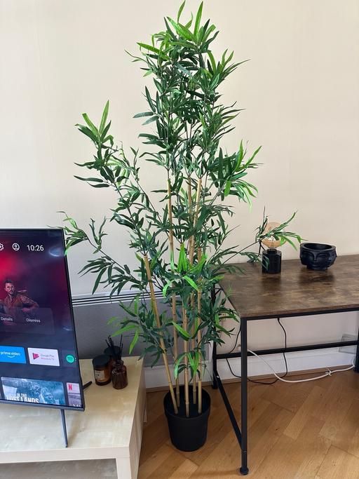 Buy & Sell Pimlico Central London - Photos for Fake plant 6ft 185cm