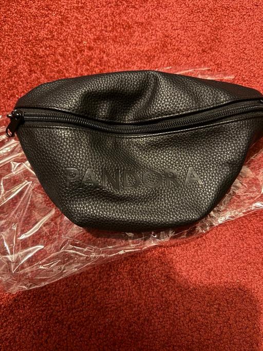 Buy & Sell Thurnscoe Barnsley - Photos for Pandora Bum Bag.