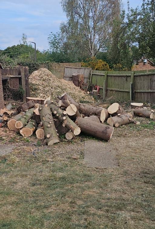Buy & Sell Yew Tree Estate Sandwell - Photos for fire wood