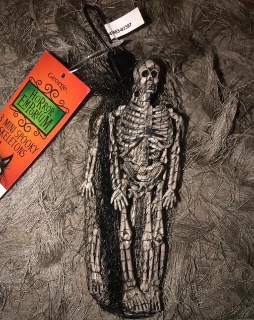 Buy & Sell Stow Heath Wolverhampton - Photos for HALLOWEEN - skeleton decor💀