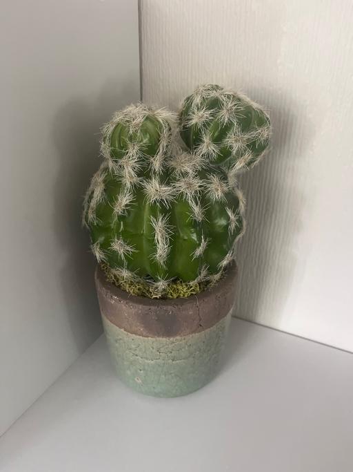 Buy & Sell Conisbrough Doncaster - Photos for Artificial cactus in pot