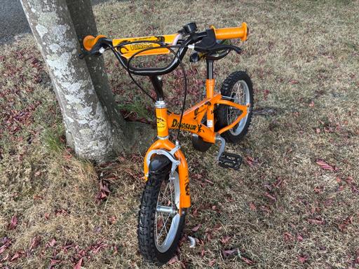 Buy & Sell Wootton West Northamptonshire - Photos for Dinosaur Bike - 14 inch