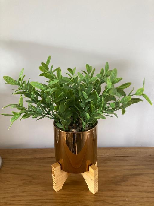 Buy & Sell Sedgley Dudley - Photos for Artificial flowers