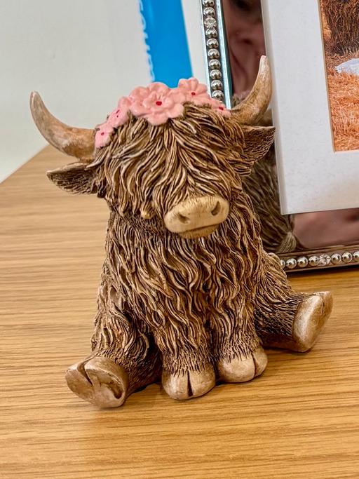 Buy & Sell Hillstown Bolsover - Photos for Leonardo Highland Cow With Floral Crown