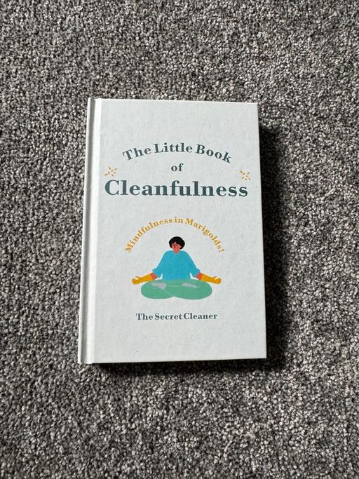 Buy & Sell Whiston Rotherham - Photos for The Little Book of Cleanfulness