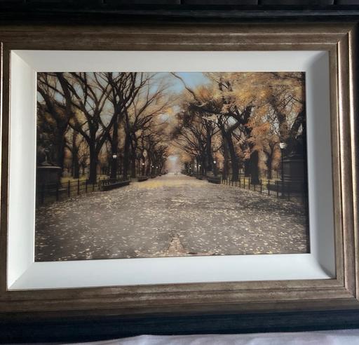 Buy & Sell Caldwellside Industrial Estate South Lanarkshire - Photos for Framed Central Park Picture