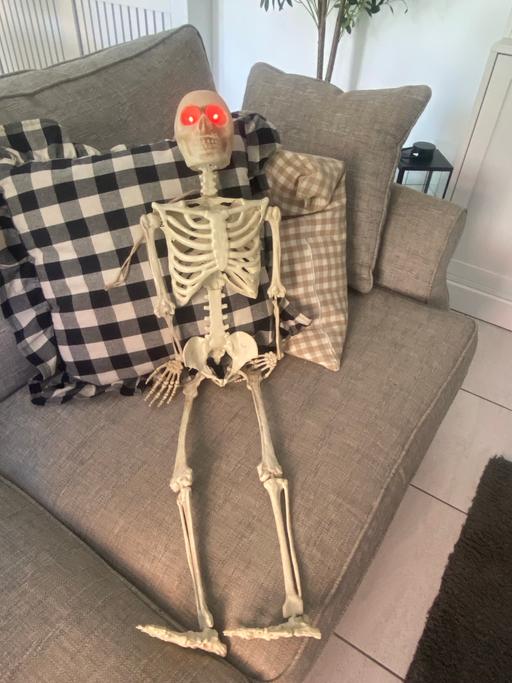 Buy & Sell Ackworth Wakefield - Photos for Halloween light up skeleton
