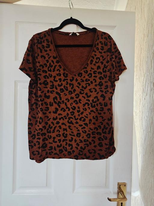 Buy & Sell Newton Doncaster - Photos for Next shimmer T-shirt, size 16