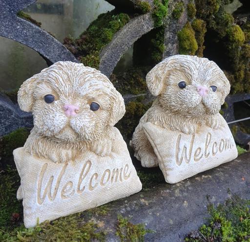 Buy & Sell Moseley Birmingham - Photos for Welcome Dogs