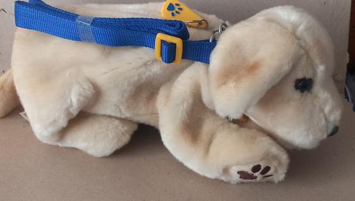 Buy & Sell Thatto Heath Saint Helens - Photos for andrex 30 years plush backpack and teddy