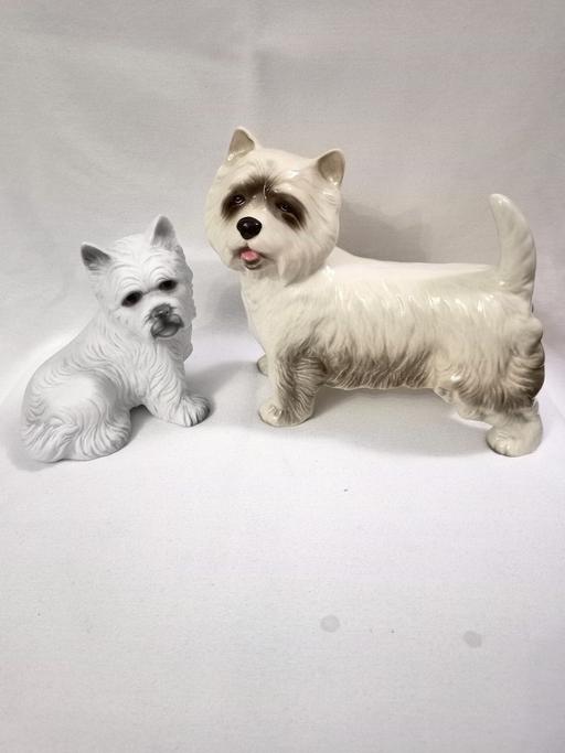 Buy & Sell Hall Green Birmingham - Photos for PAIR OF WEST HIGHLAND TERRIERS.