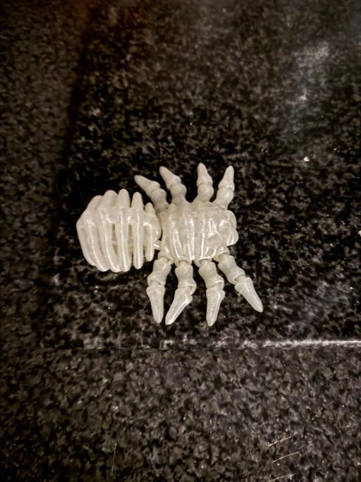 Buy & Sell Rochdale Greater Manchester - Photos for Skeleton spider glow in dark sensory/fidget
