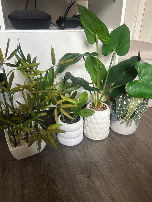 Buy & Sell Bury Greater Manchester - Photos for Fake plants - £3 each