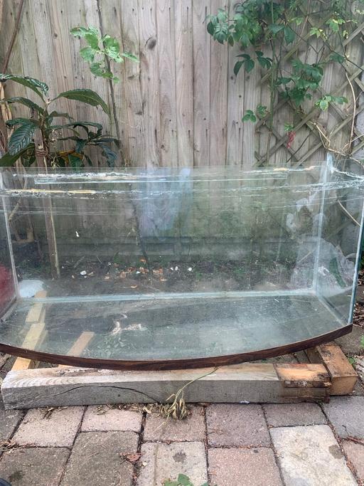 Buy & Sell Brentford Hounslow - Photos for 4ft fish 🐠 tank