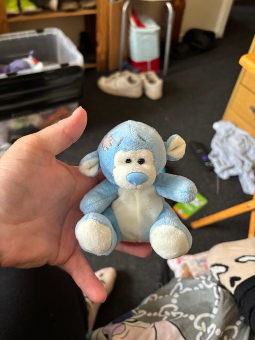 Buy & Sell Kings Heath Industrial Estate West Northamptonshire - Photos for Blue nose friends Teddy