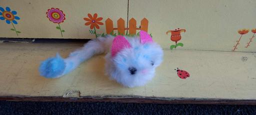 Buy & Sell Westcliff-on-Sea Southend-on-Sea - Photos for Pomsises Pom Pom pet Snowball