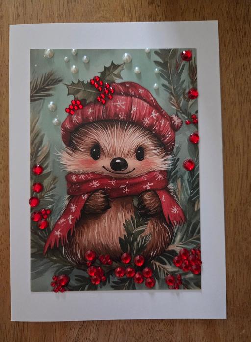 Classes Westgate-on-Sea Thanet - Photos for HEDGEHOG XMAS CARD