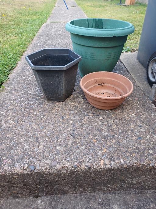Buy & Sell Eckington North East Derbyshire - Photos for plantpots