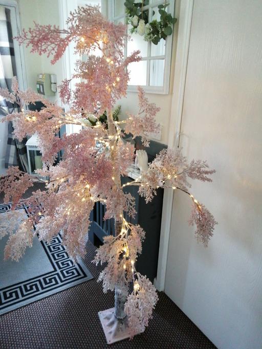 Buy & Sell Wednesfield Wolverhampton - Photos for light up ornamental tree (Cheap as need gone)