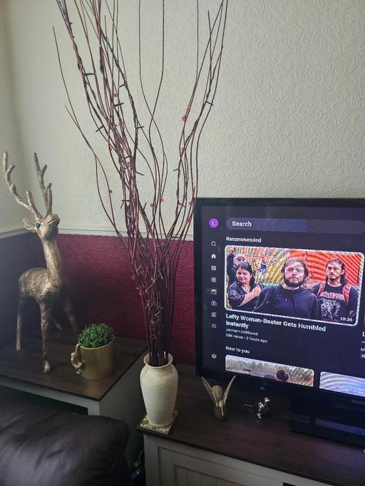 Buy & Sell Pensnett Dudley - Photos for LARGE TWIGS WITH LIGHTS IN VASW...4FT 4
