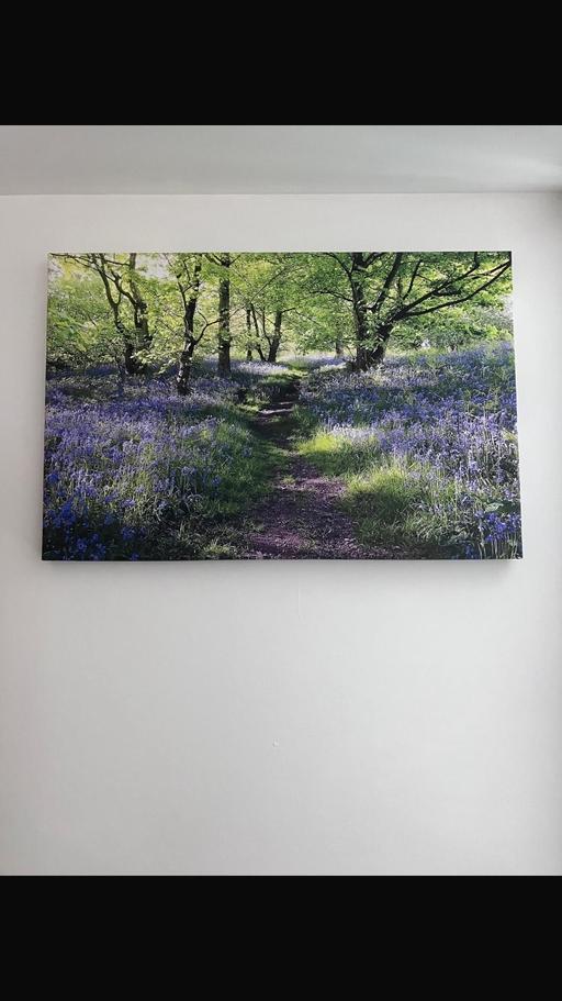Buy & Sell Sparkhill Birmingham - Photos for Canvas Pictures
