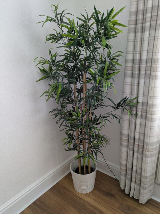 Buy & Sell Mossley Hill Liverpool - Photos for large IKEA fake plant and pot