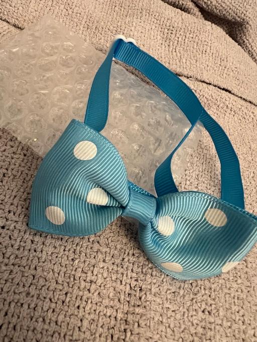 Buy & Sell Easington Lane Sunderland - Photos for Doggie Neck Bow ( New )