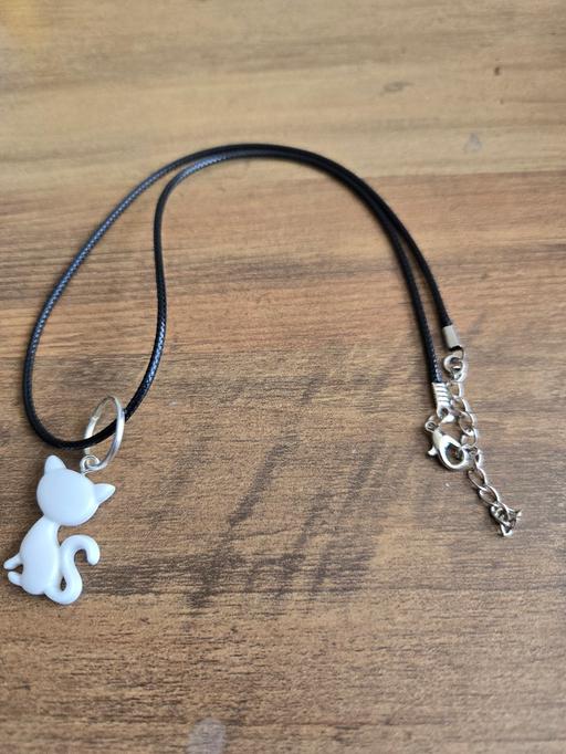 Buy & Sell Charter Avenue Industrial Estate Coventry - Photos for Cat Necklace