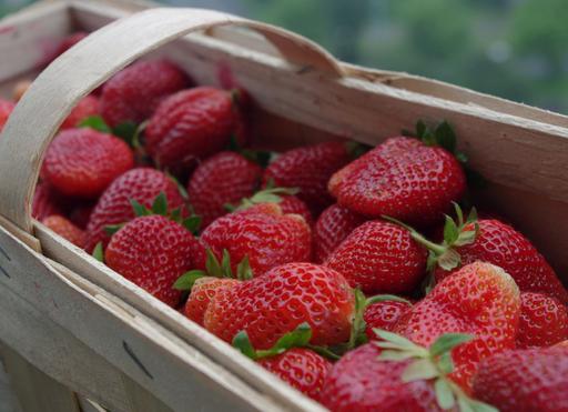 Buy & Sell Dudley Port Sandwell - Photos for Eco Sweet Strawberry runners for sale !