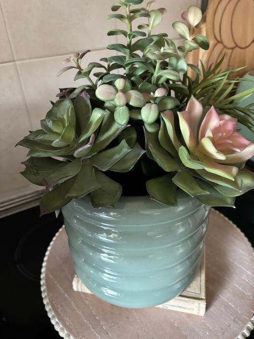Buy & Sell Bartley Green Birmingham - Photos for Homesense plant arrangement