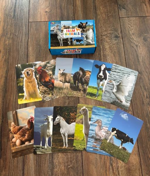 Buy & Sell Woodcross Wolverhampton - Photos for Introducing Flashcards