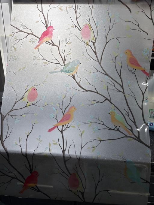 Buy & Sell Duckmanton Chesterfield - Photos for Nature print window film