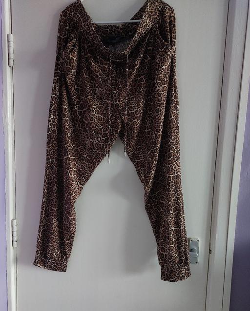 Buy & Sell Liverpool Knowsley - Photos for BNWOT Women's Leopard Print Pants