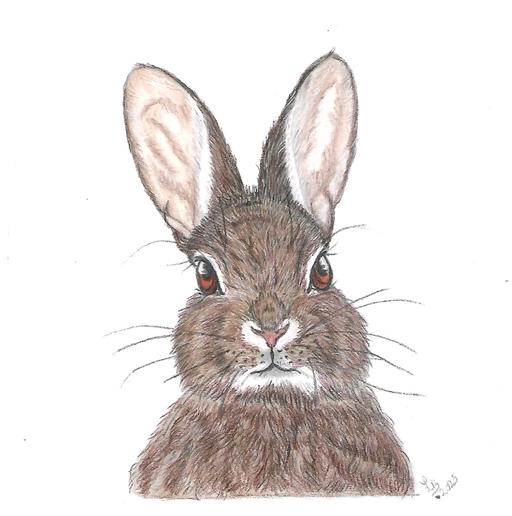 Buy & Sell Uckfield Wealden - Photos for The ladyhare