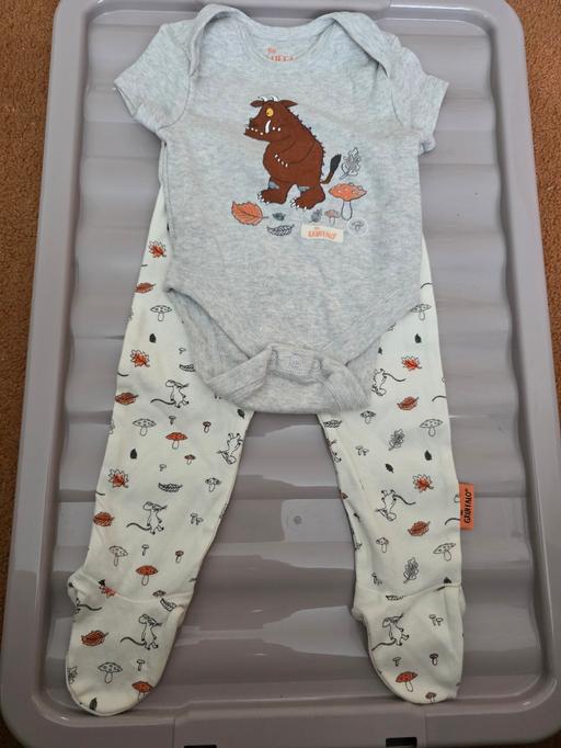 Buy & Sell Blackpool Town Centre Blackpool - Photos for Gruffalo vest & leggings set age 3-6 mths NEW
