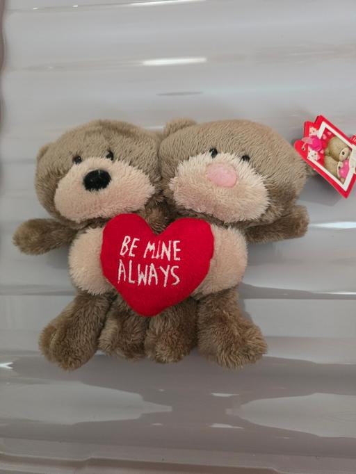 Buy & Sell Blackpool Town Centre Blackpool - Photos for Be mine teddy duo