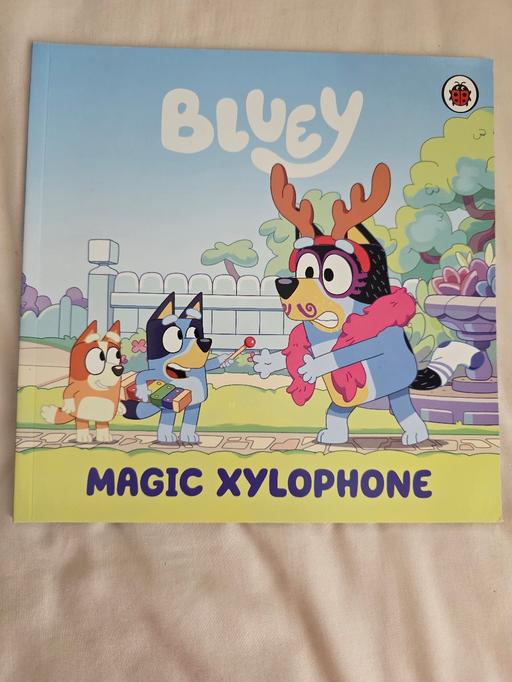 Buy & Sell Blackpool Town Centre Blackpool - Photos for Bluey story book NEW