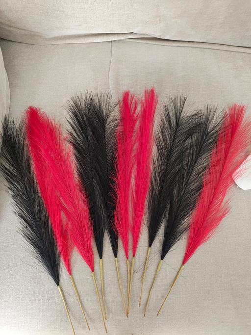 Classes West Brompton South West London - Photos for feathers black and red