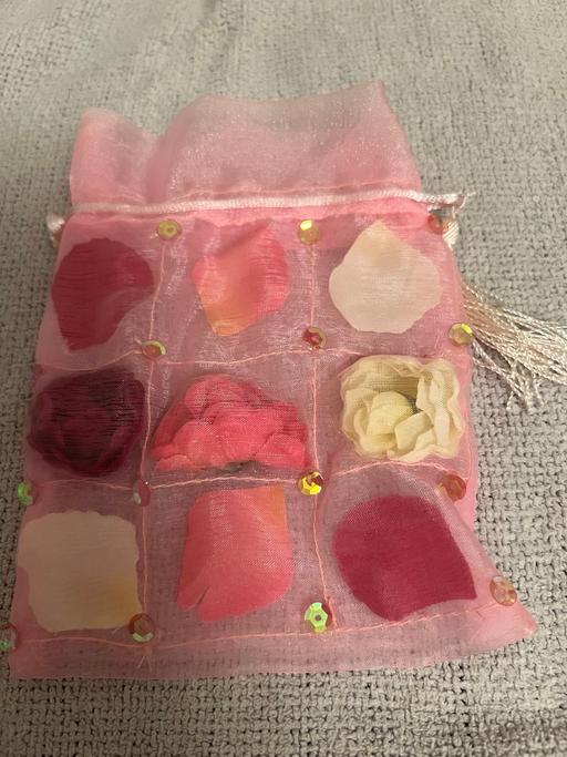 Buy & Sell Hetton-Le-Hole Sunderland - Photos for Pretty Gift Bag ( New )