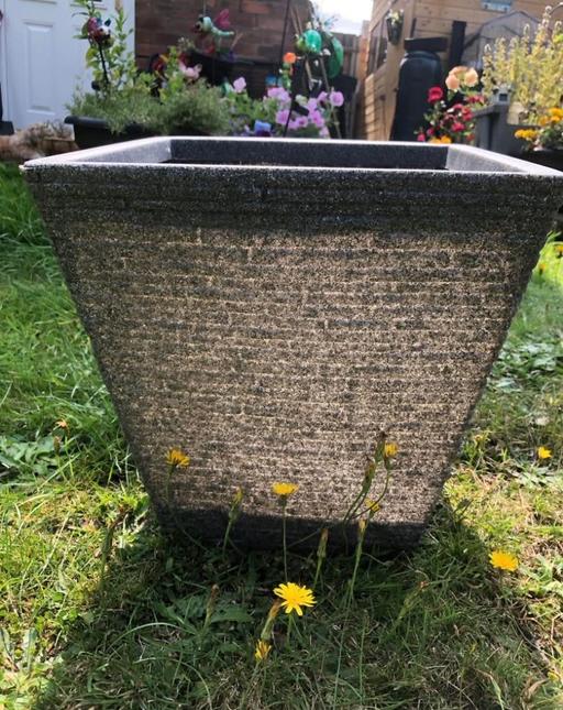 Buy & Sell Stow Heath Wolverhampton - Photos for Large plant pot